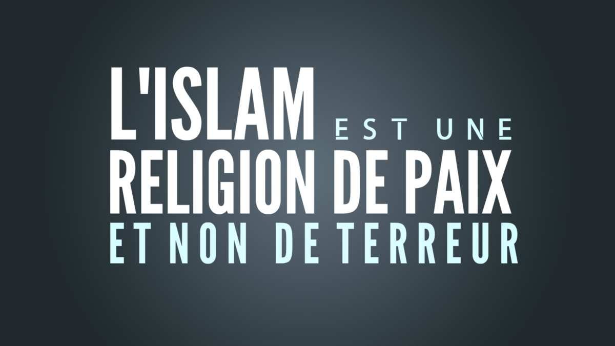 Article : Le terrorisme n’est pas l’Islam (slam poésie)