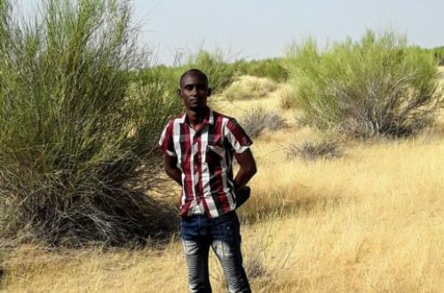 Article : Tchad : zoom sur Ziguey, une zone reculée, dans le département du Nord Kanem, province du Kanem