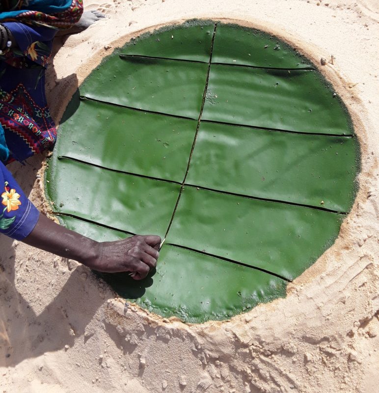 Article : Le Ouaddi de Barkadroussou entre production maraîchère et de la spiruline